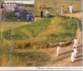 /album/islamic/a29dyclw-1-jpg/